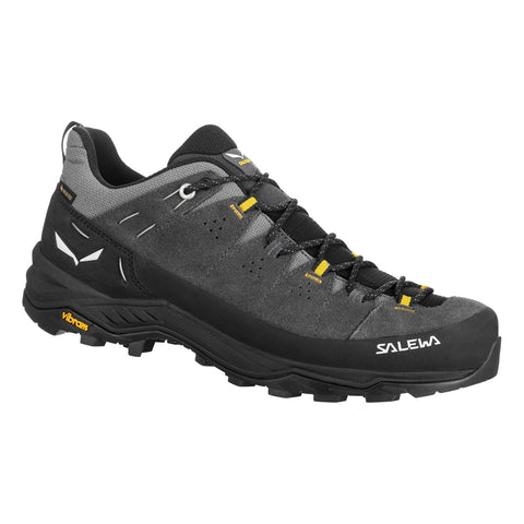 Alp Trainer 2 GTX M Onyx | Black