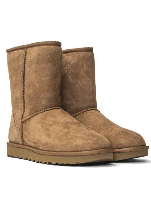 Buty zimowe damskie UGG W Classic Short II (1016223-CHE)